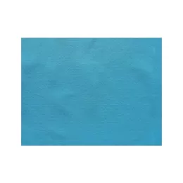 Set de table Turquoise Spunbond 30x40cm